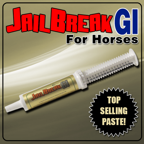 JailBreak GI for Horses