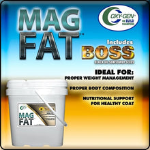 Mag-Fat BOSS
