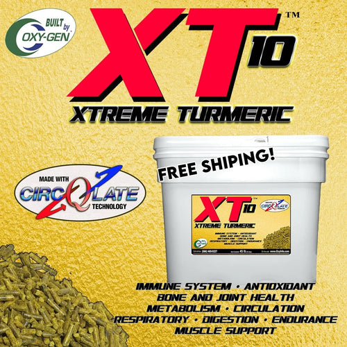 XT10 Free Shipping