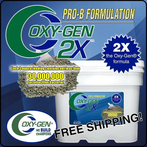 OXY-GEN 2X Pro-B Free Shipping