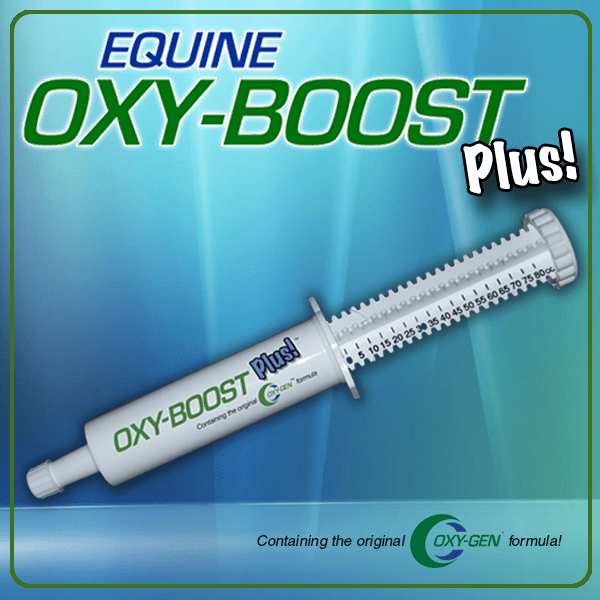 Oxy-Boost Equine