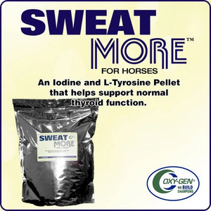 Sweat More for Horses