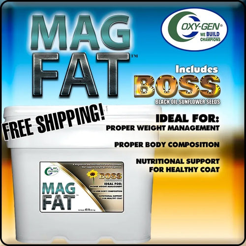 Mag-Fat BOSS Free Shipping