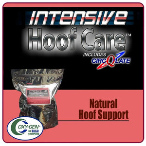 Intensive Hoof Care