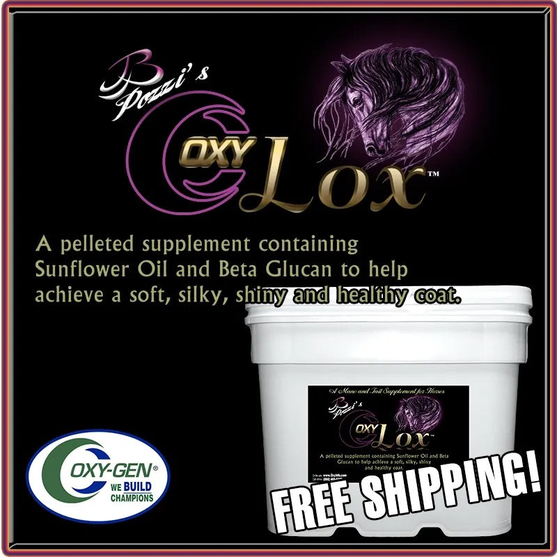 Pozzi's OXY LOX for Mane and Tail Free Shipping