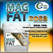 Mag-Fat BOSS